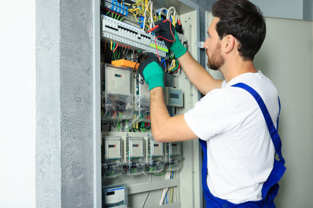 Best Electric Panel Repair  in Tangelo Park, FL